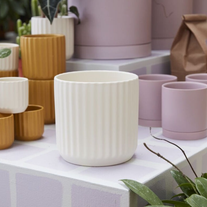 Beam Pot - 6" - White