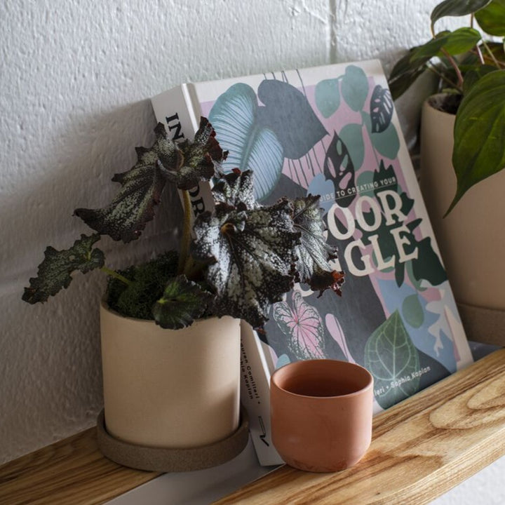 Kendall Pot - Terracotta - 2.5"