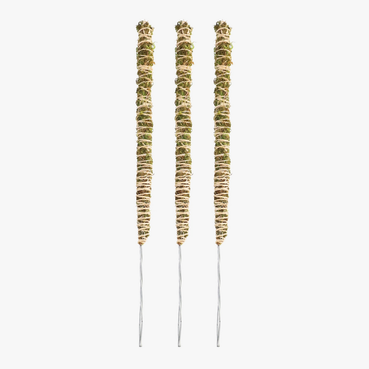 Bendable Moss Pole™ THIN - 3 pack