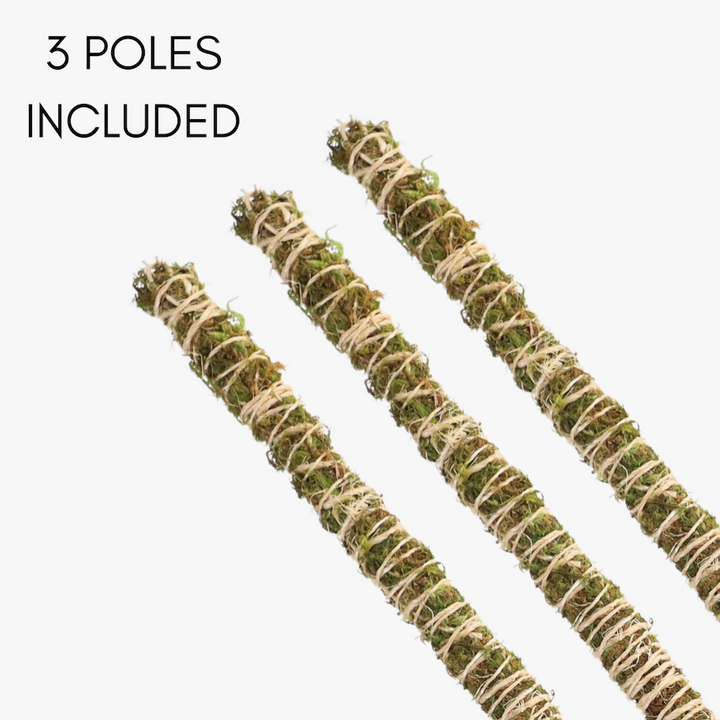Bendable Moss Pole™ THIN - 3 pack