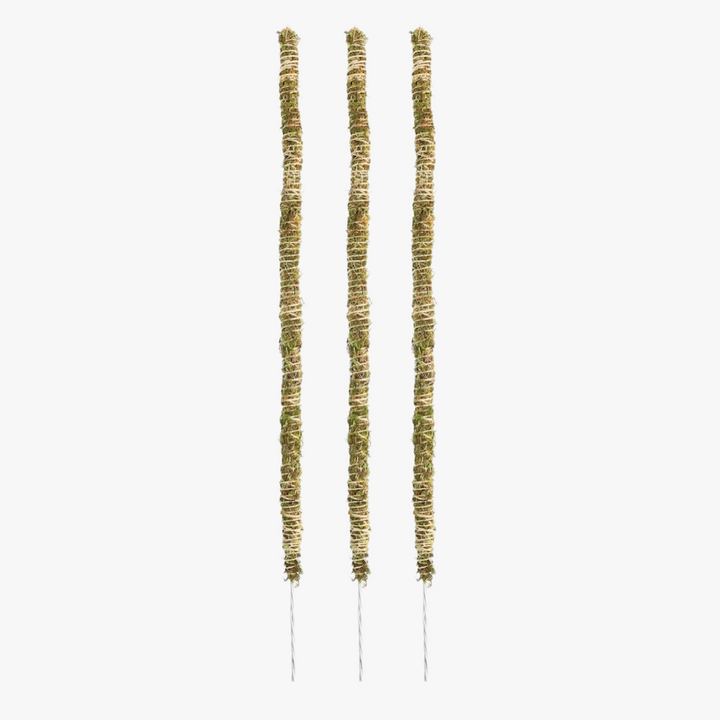 Bendable Moss Pole™ THIN - 3 pack