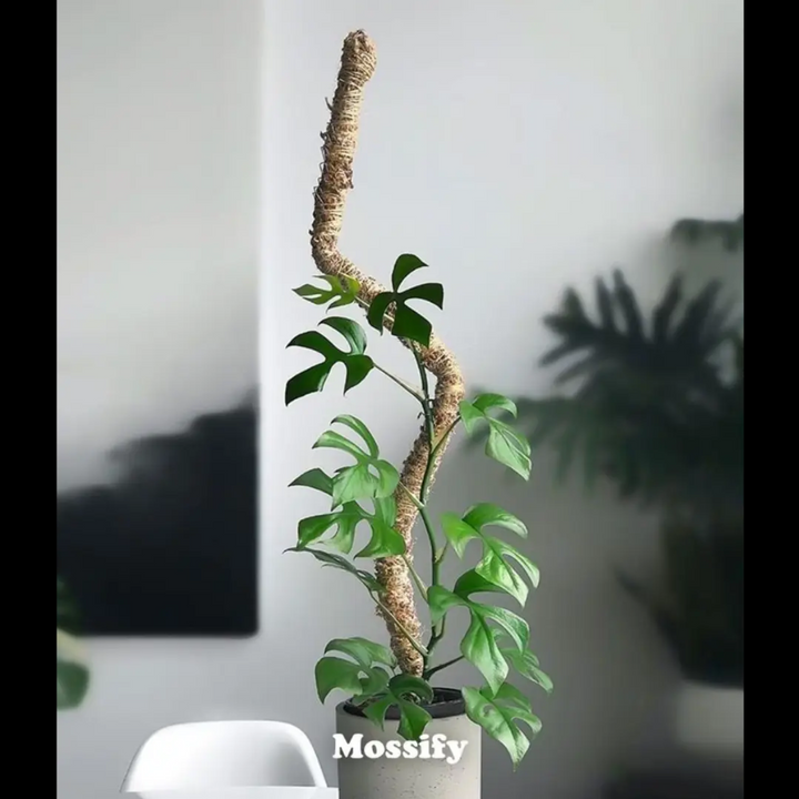 Bendable Moss Pole