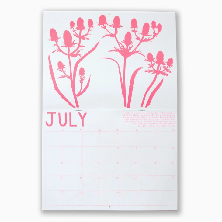 2025 Calendar - Drought Tolerant Plants