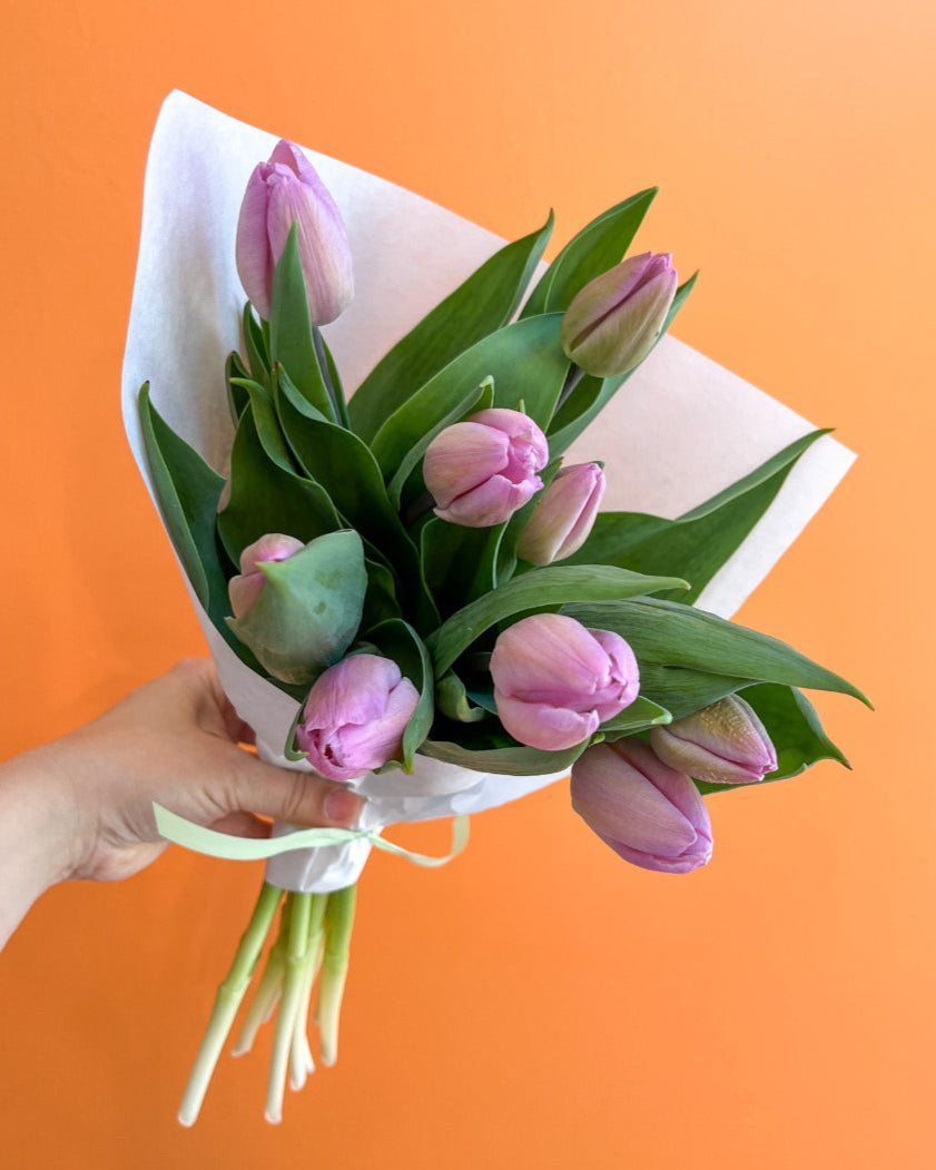 Meaford Grown Tulips