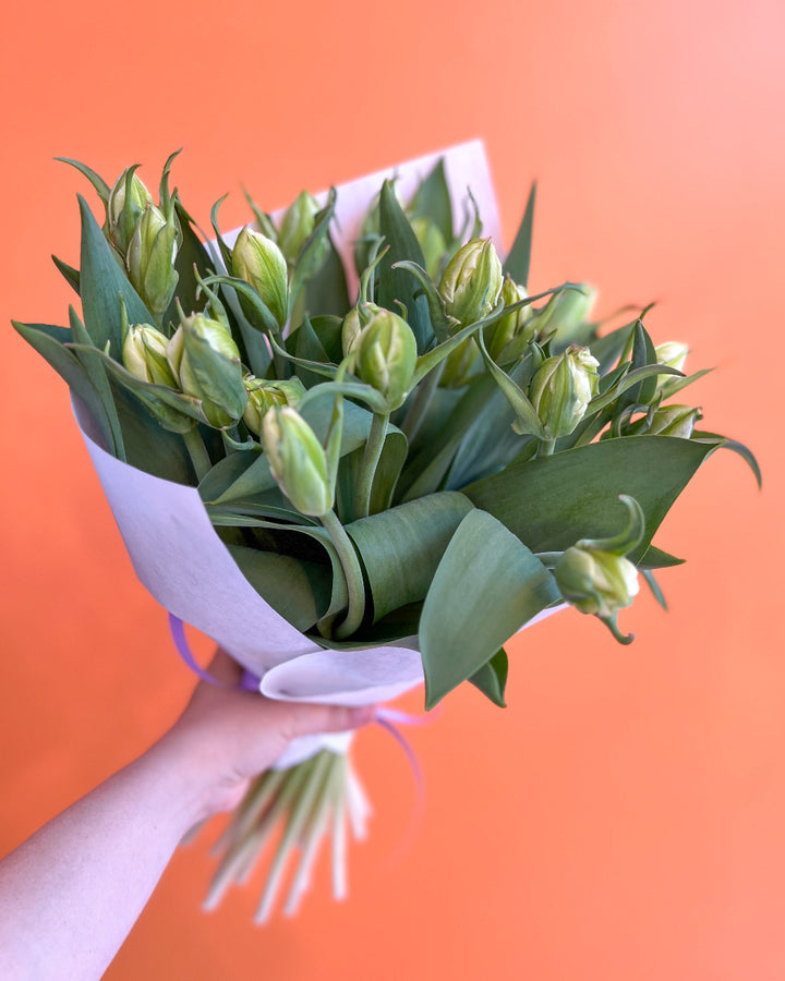 Meaford Grown Tulips