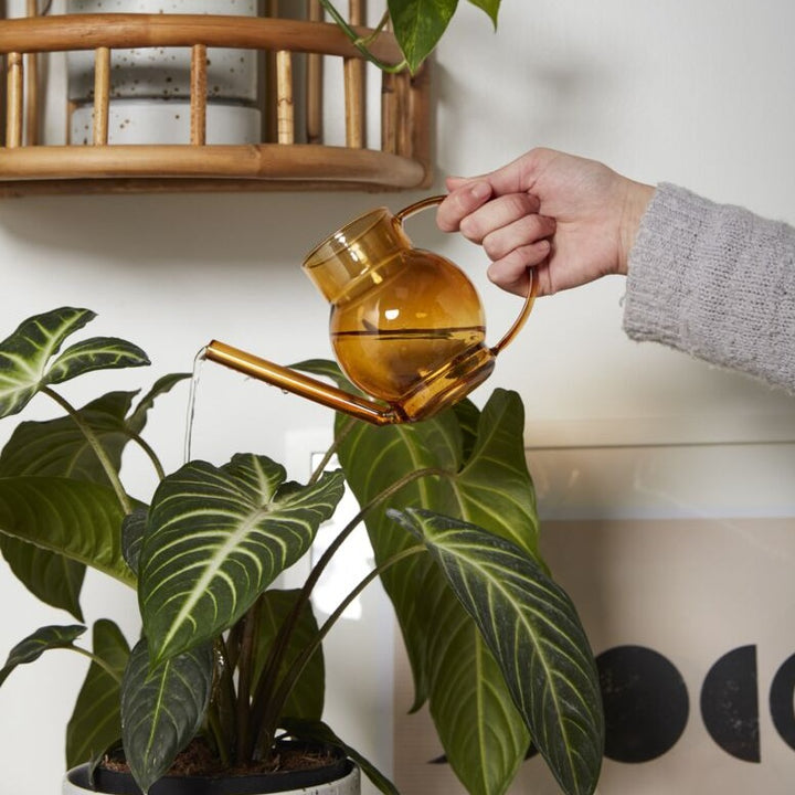 Amber Glass Watering Can