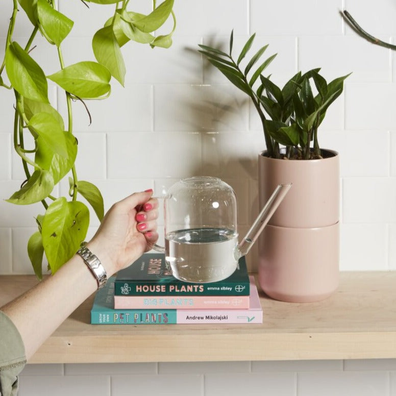 Clear Glass Watering Can