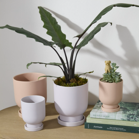 Tarrytown Pot with Saucer - Light Purple