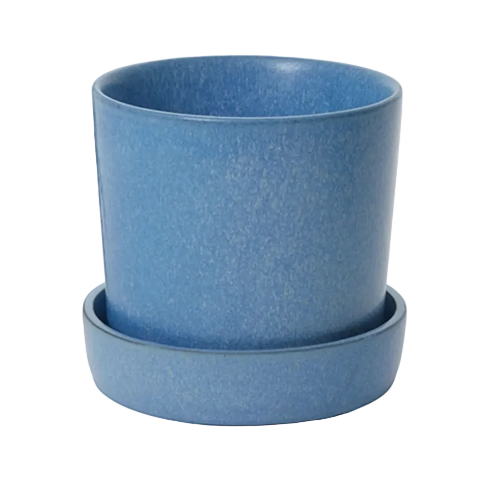 Watson Pot - Blue - 6"